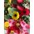 Wianek na drzwi Truskawkowo - Cytrynowy Sorbet 45 cm